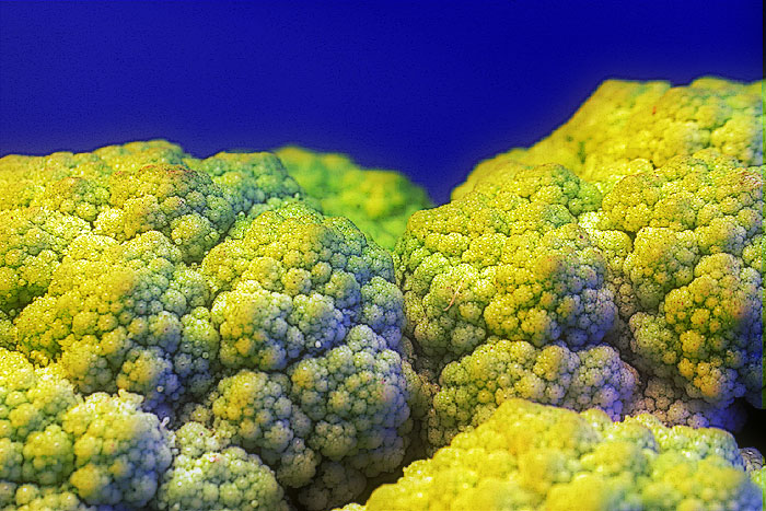 Vegetable Landscape *