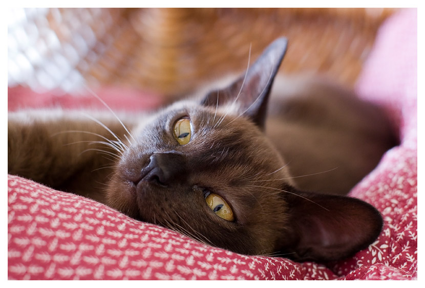 Yes, Im looking at you! *