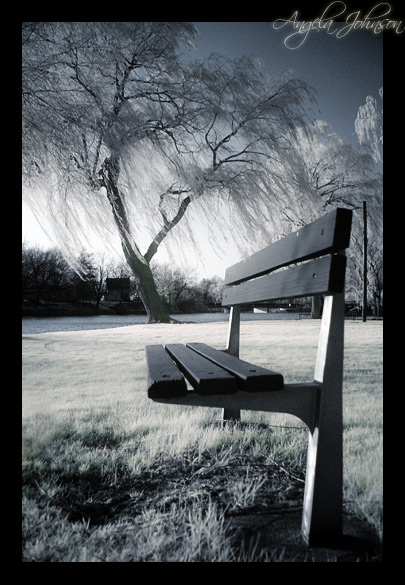 IR Bench