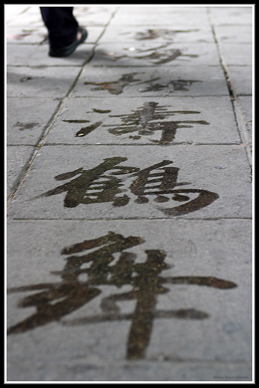 Water Caligraphy on Sidewalk*