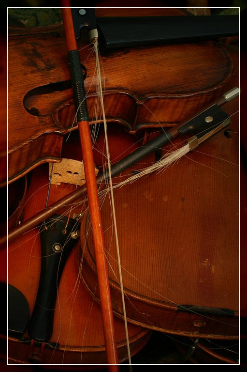 <B>Soundless</b> *