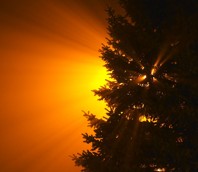 Light Burst *