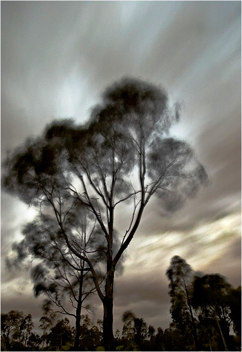 <b>6th Place</b><br>Moving Cloud<br><i>by Michael Kilpatrick</i>