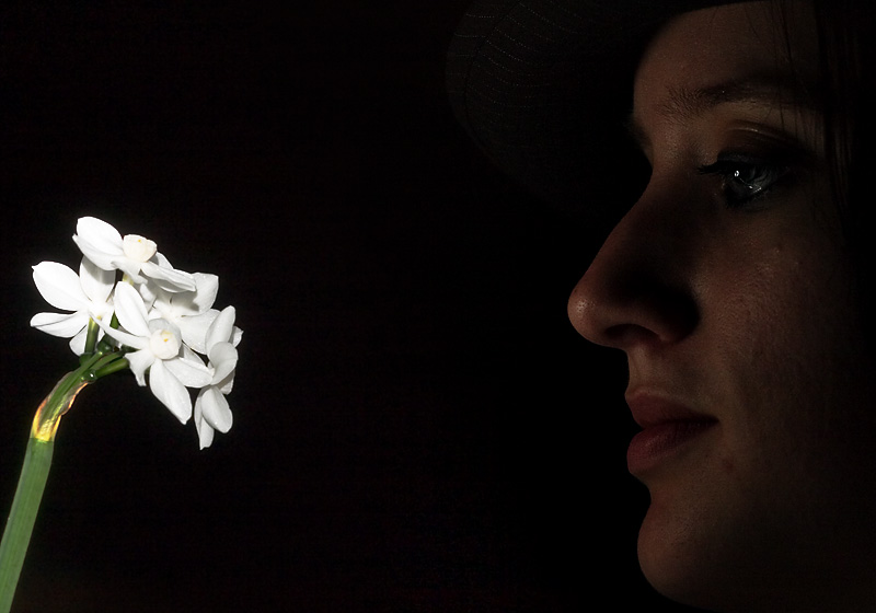 Paperwhite Glow *