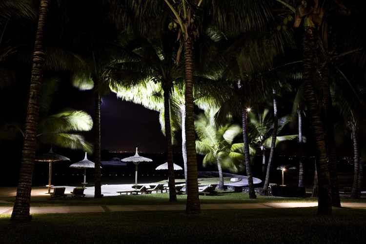 :: Midnight Palms :: by TIm Ashley*