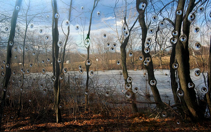 <b><i>8th Place</i></br>Landscape</b></br>By elips