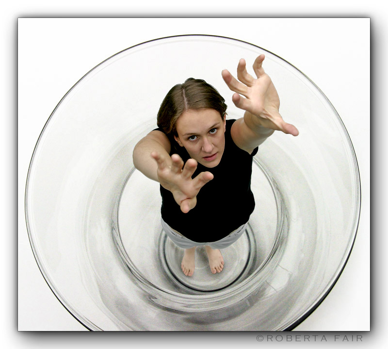 <b><i>12th Place</i></br>Clearly Trapped</br></b>By Roberta Fair