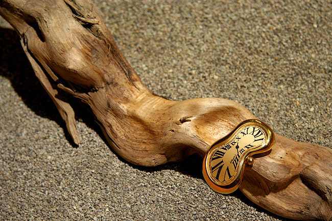 <b><i>5th Place</i></br>The Memory of Persistence </b></br> By elips