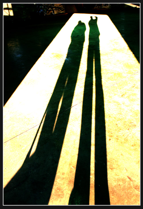 The Photographer - alternative