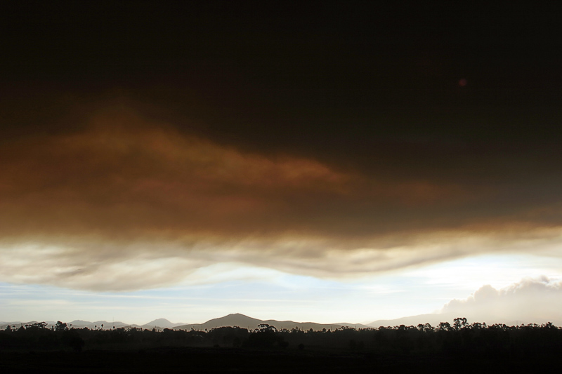 Fiery morning - landscape