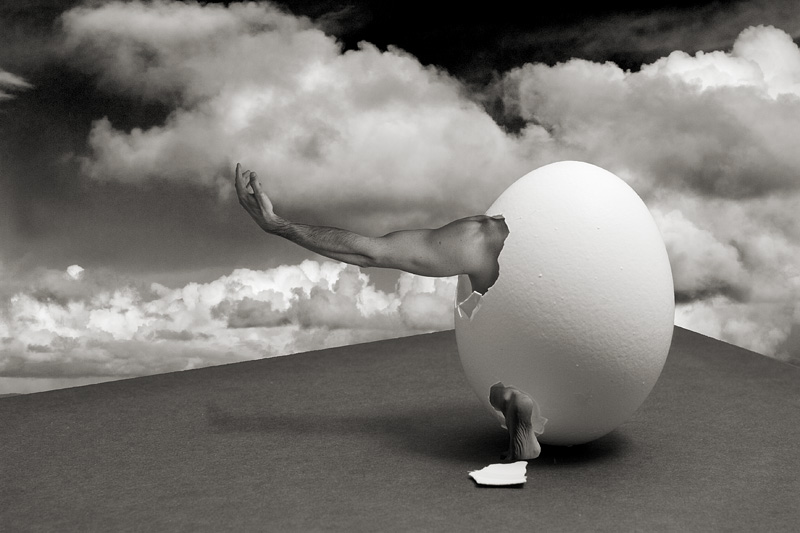 <b><i>2nd Place</i></br>the egg and I </b></br>By  Michael Puff<b>