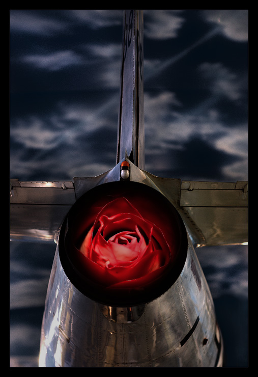 War and Peace *