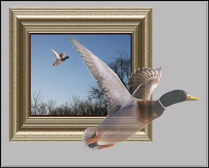 Escape of the Spirit *
