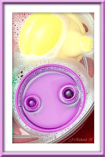 <b><i>10th Place</i></br></b>Sudsy Lids</br>by  Lonnit Rysher<b>