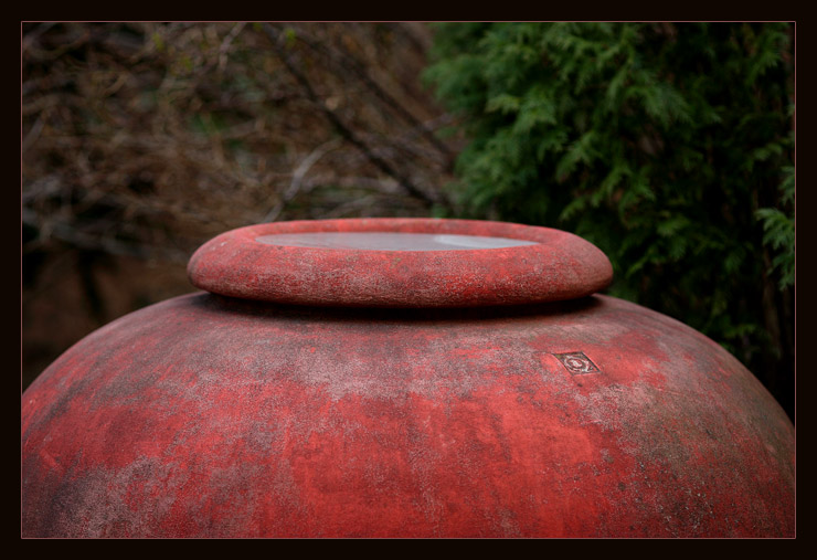 Circumference *