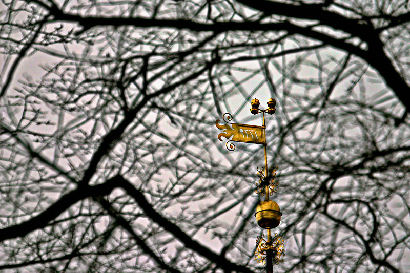 A splash of gold *