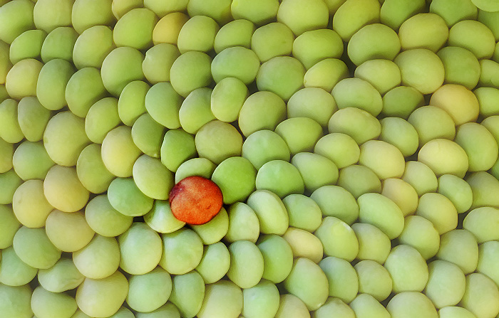 Lentils *