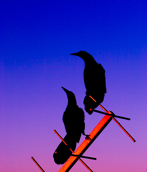* Pair