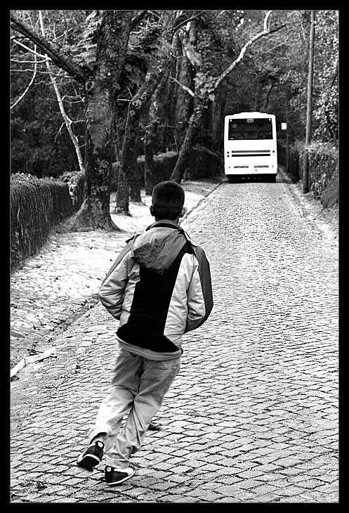 The Chase *