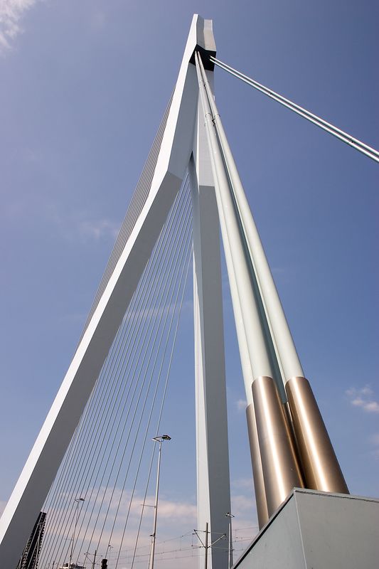 Erasmus Angle *