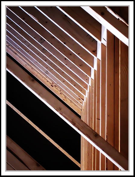 <b>7th Place</b><br>*Framed*<br><i>by Mr. Biscuit</i>