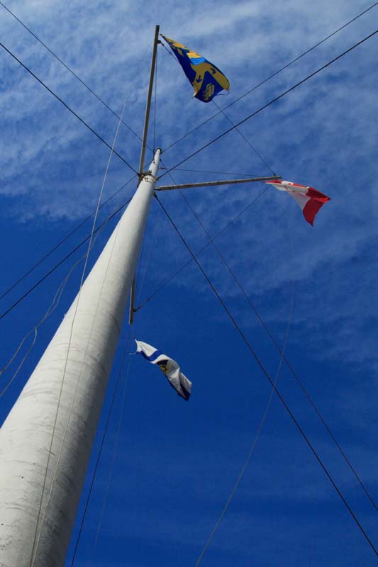 *Flying high