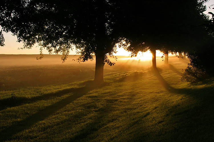 Minnesota Morning *