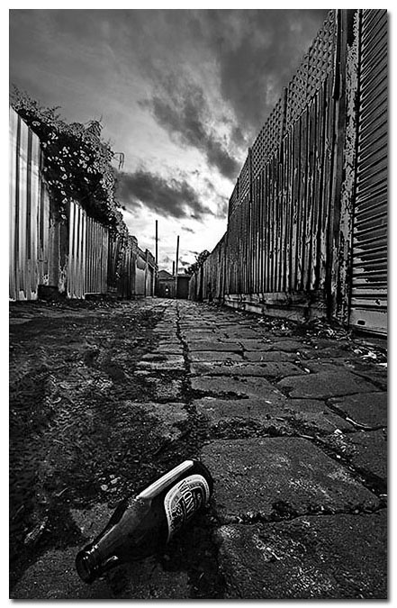 <b>5th Place</b><br>Empty*<br>by Michael Kilpatrick