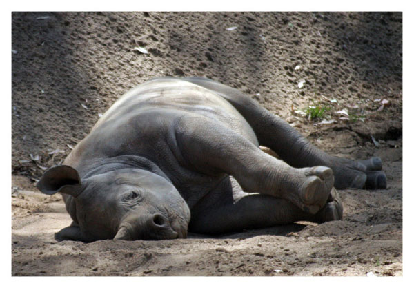 NapTime *