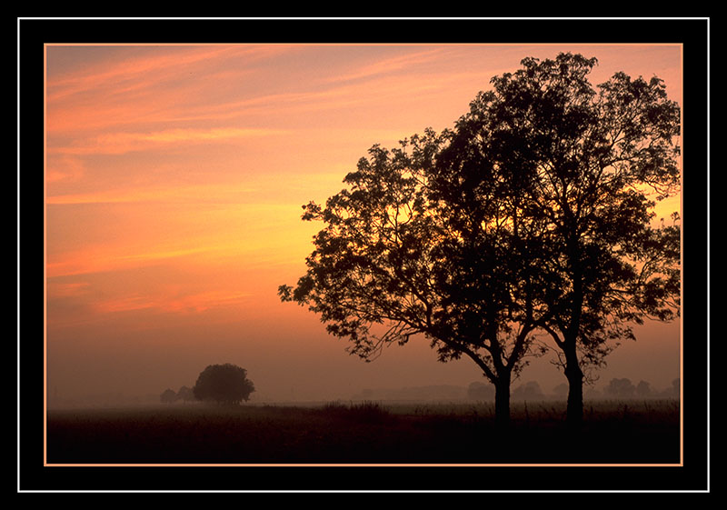 serenity*