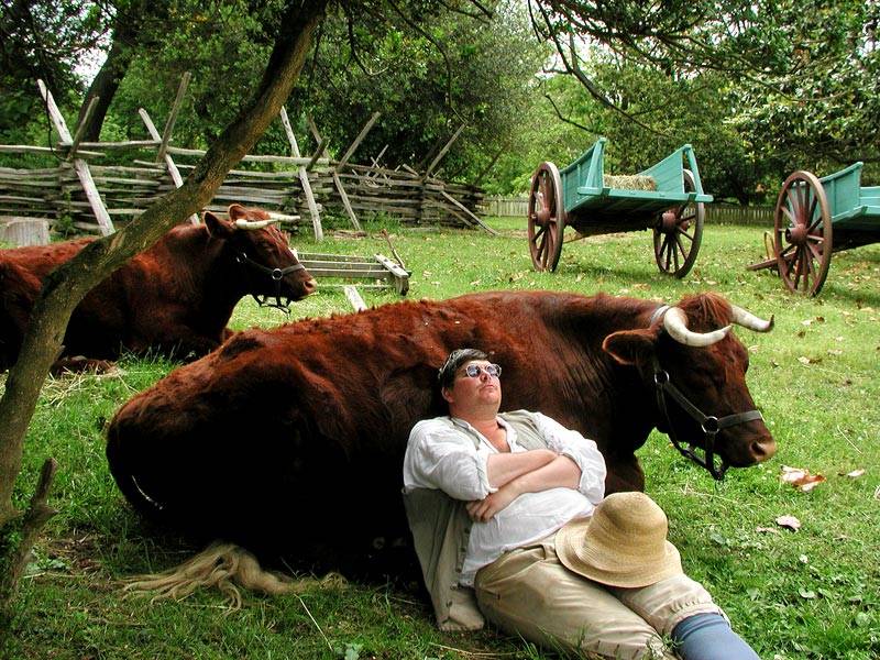 Early American Cowch
