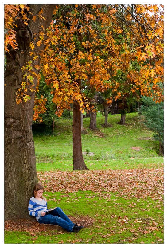 <b>6th Place</b><br>Autumn Study<br>by Gayle Knowles