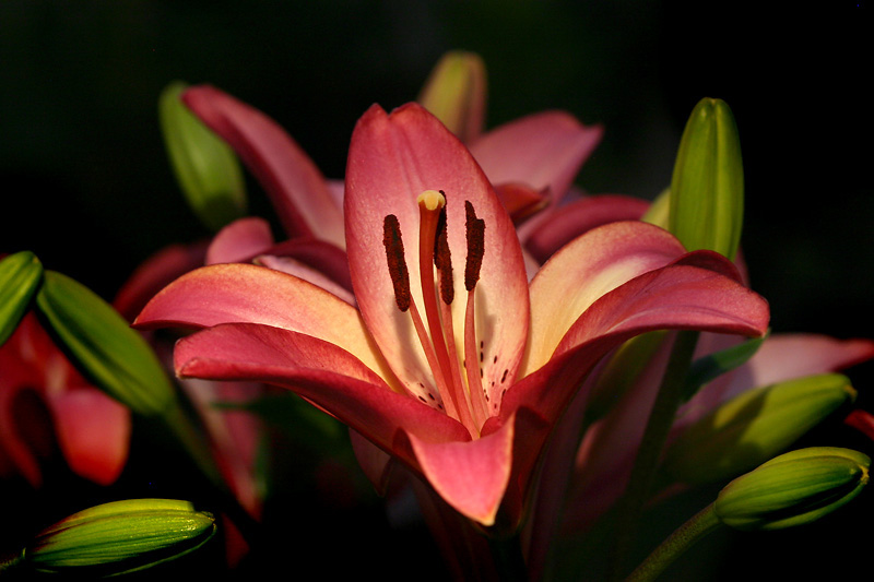 Beauty is in the Eye of the Beholder *