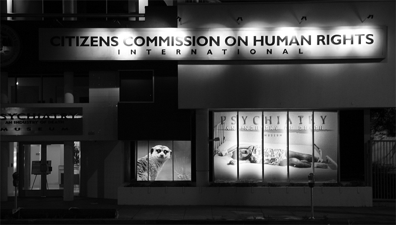 Store Front  * Traveller
