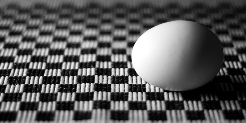 egg