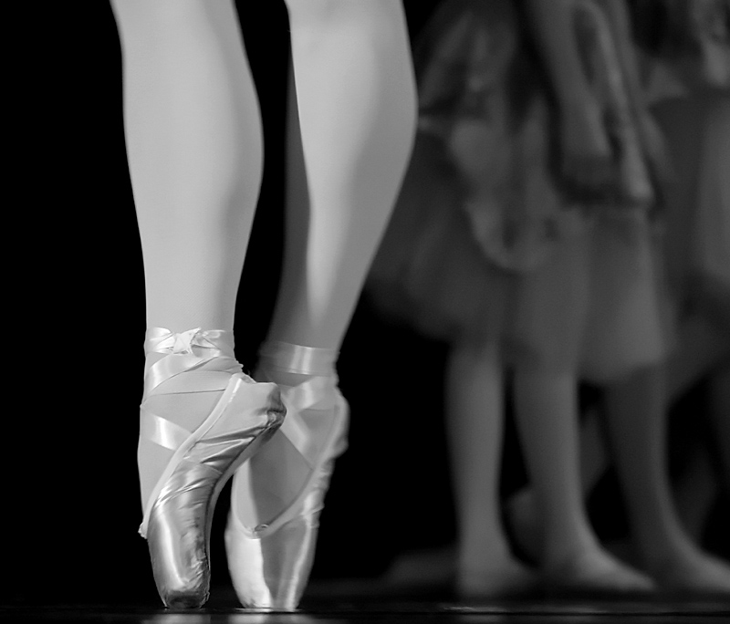 <b>5th Place</b><br>Pointe of View<br>by Jeannie M. Burleson