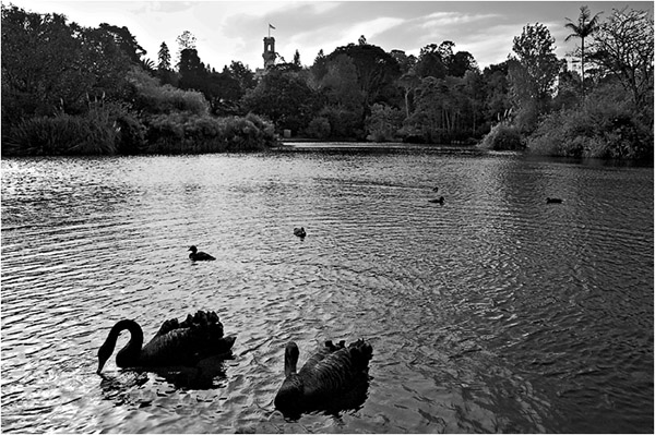 Melbourne Botanical Gardens