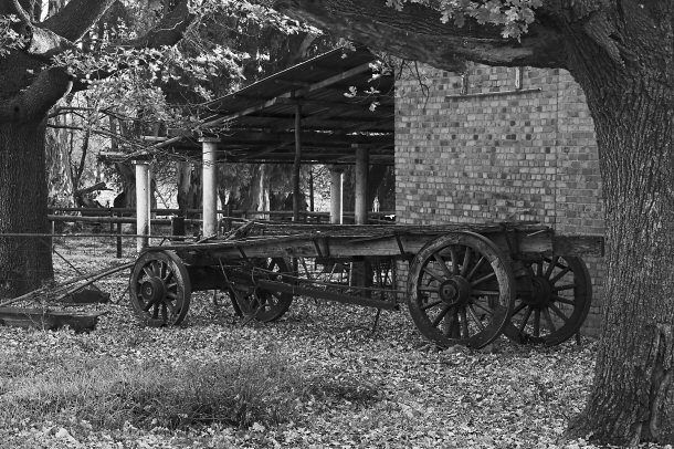 Old Wagon