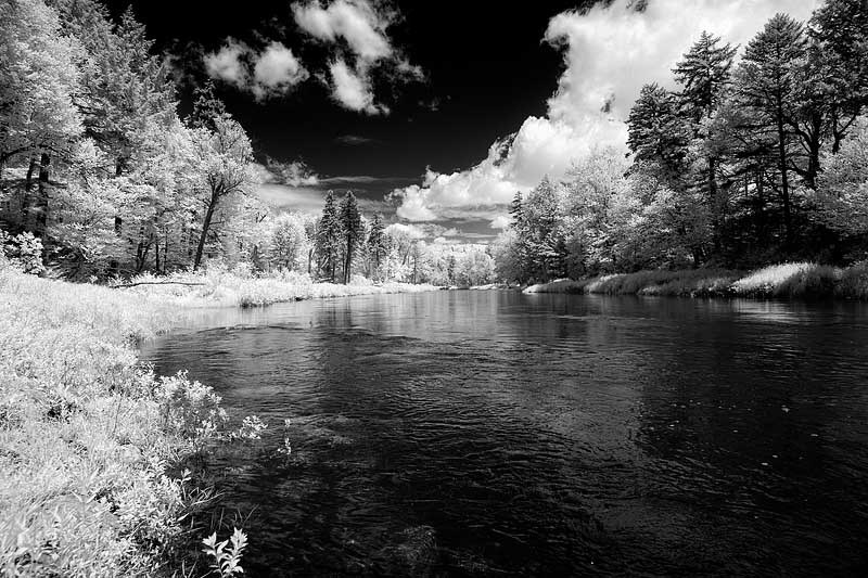 <b>8th Place</b><br>Black River Infrared<br>by Andy Williams