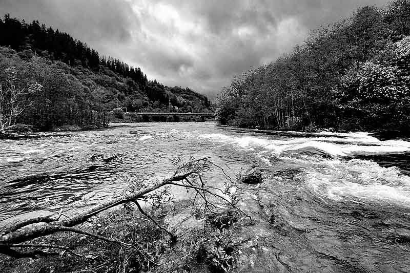 Spring Flows