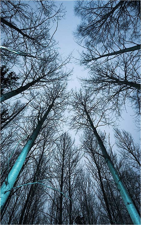 <b>6th Place (tie)</b><br>aspen<br>by Arn