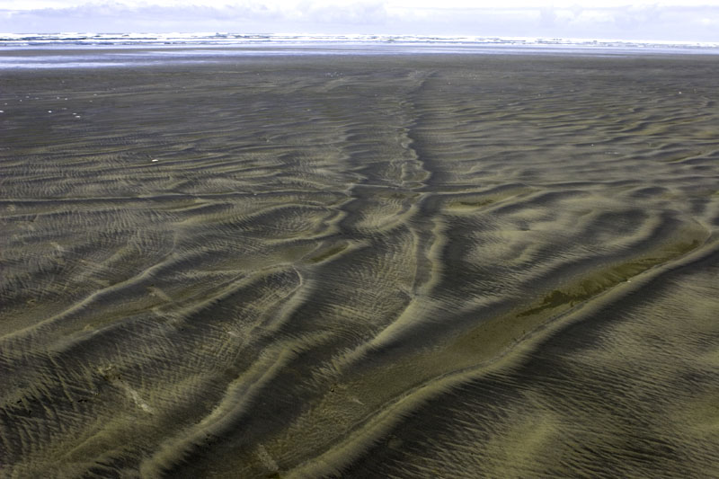 Natures Trompe Loiel *