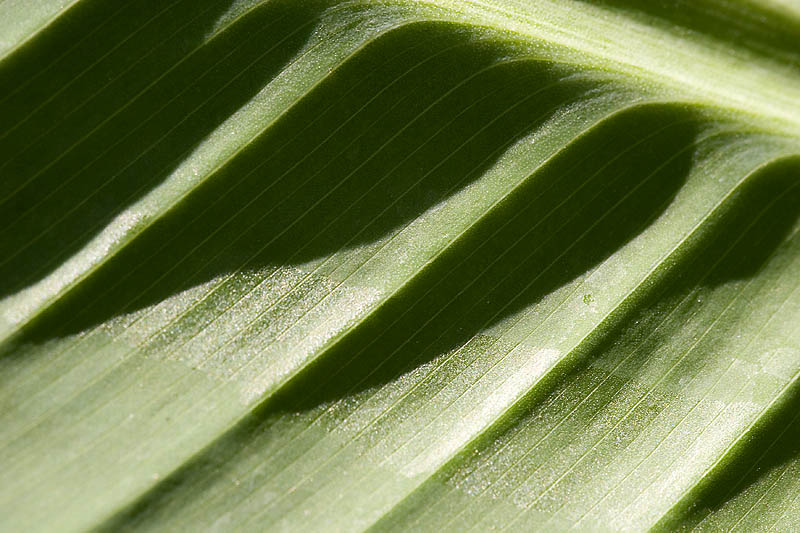 Contours *