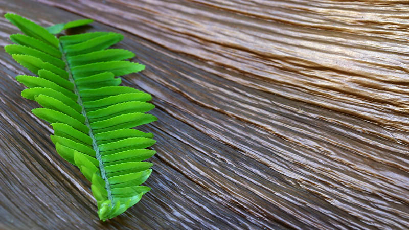 natural texture 2*