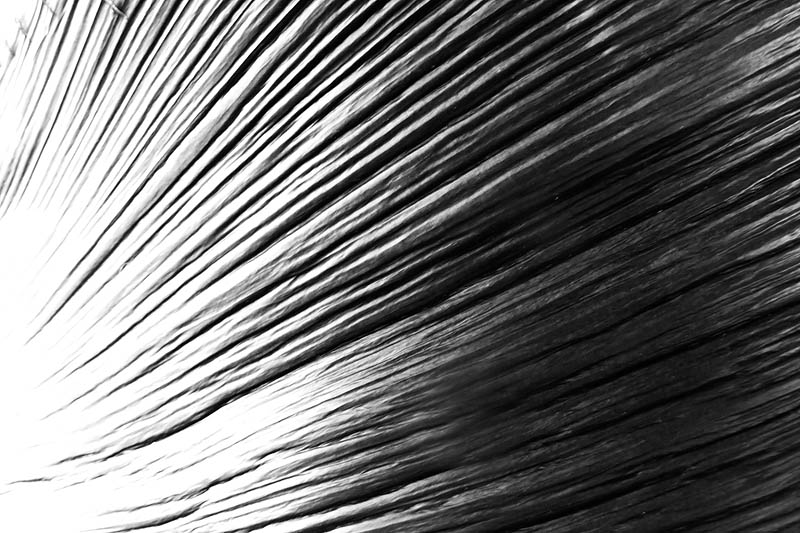 natural texture 3*