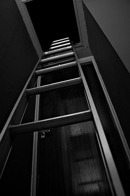 Into the Darkness