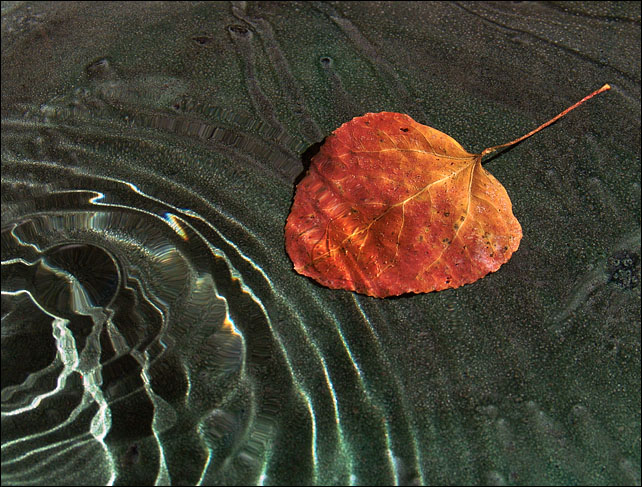 Ripples*