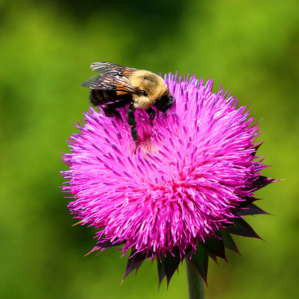 f/8 and Bee there  *
