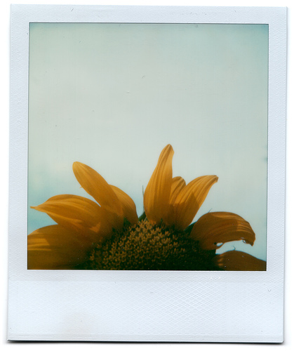 Catch The Sun*