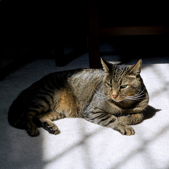 sun time
